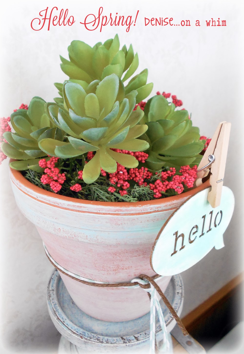 Hello Spring Succulents in a Painted Pot via http://deniseonawhim.blogspot.com