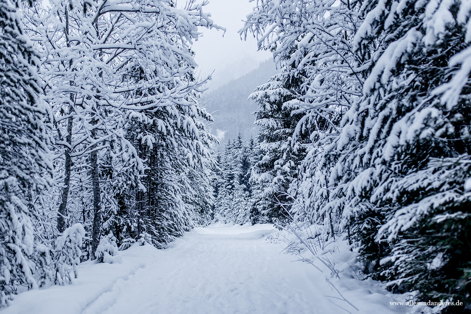 Peter S Laufseite 2 Viertelmarathon In Neu Ulm Ludwigsfeld Mit