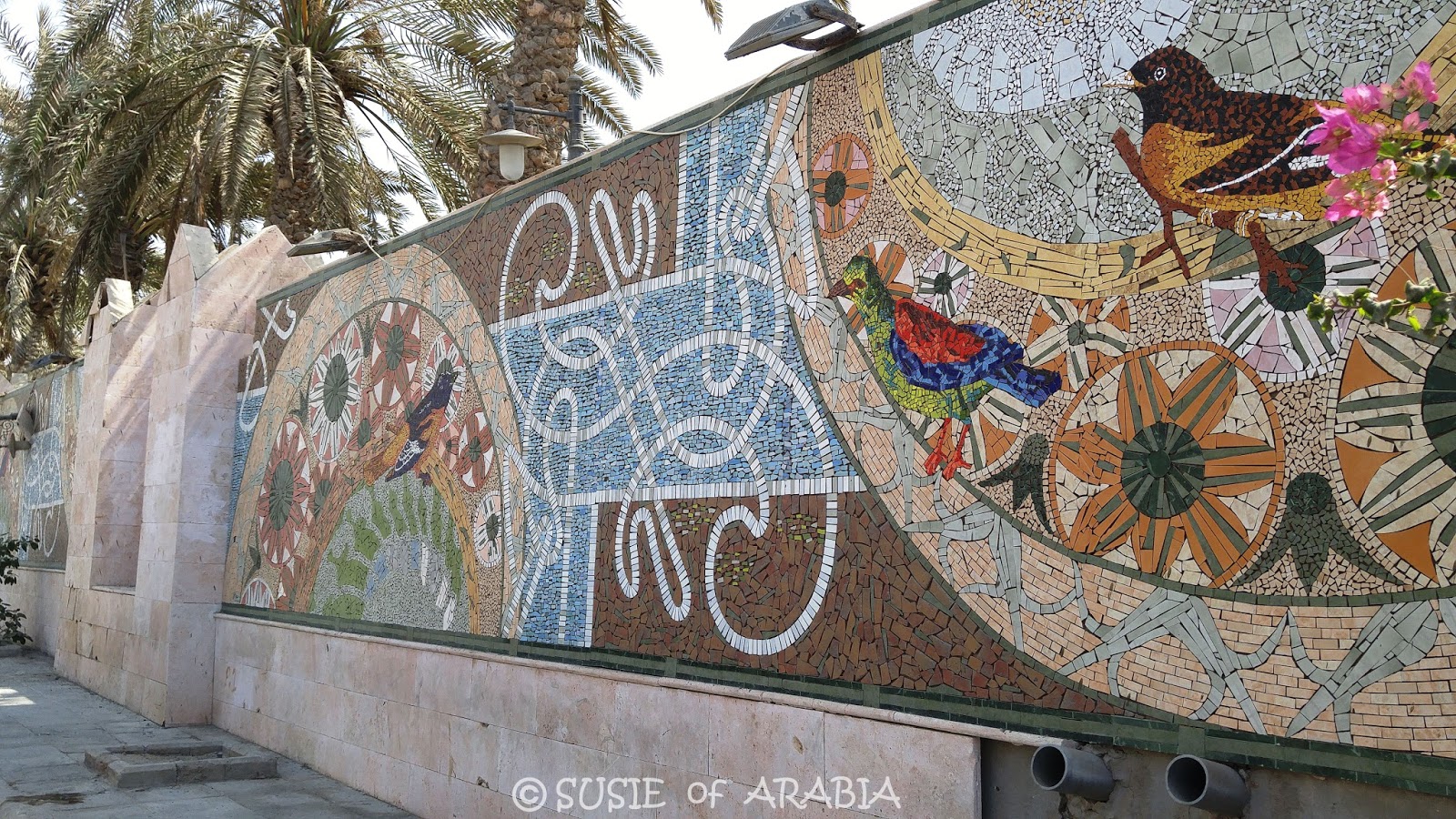 Jeddah Daily Photo Jeddah Bird Wall Mosaic