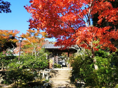  海蔵寺の紅葉