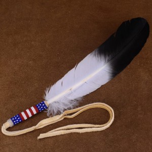 Ojibwe Confessions: Indigenous View Point: Time To Stop With Eagle Feathers