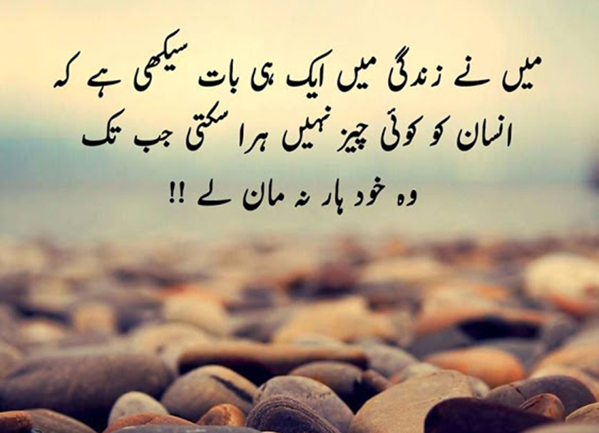 16 Urdu Quotes About Success And Struggle In Life Urdu Thoughts