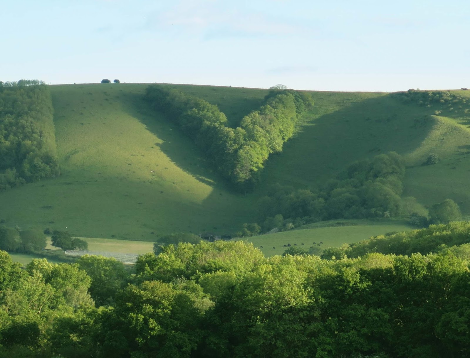 Catherine Eisner 2017