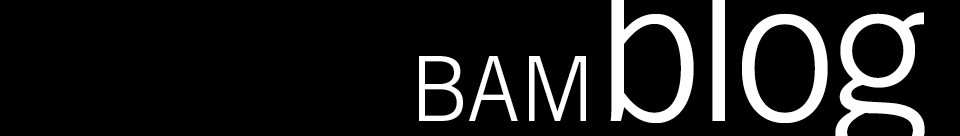 BAM blog