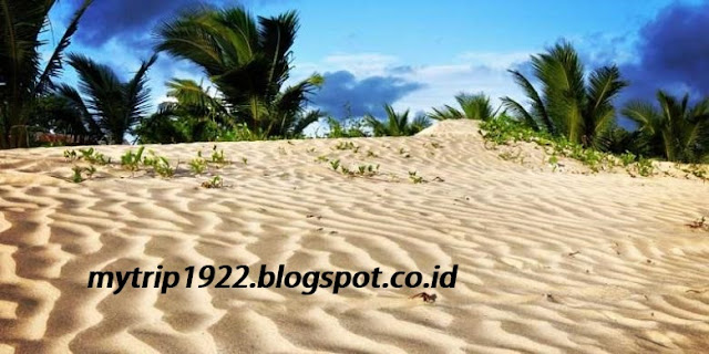4 Destinasi Wisata Eksotis Di Merauke 4 Destinasi Wisata Eksotis Di Merauke