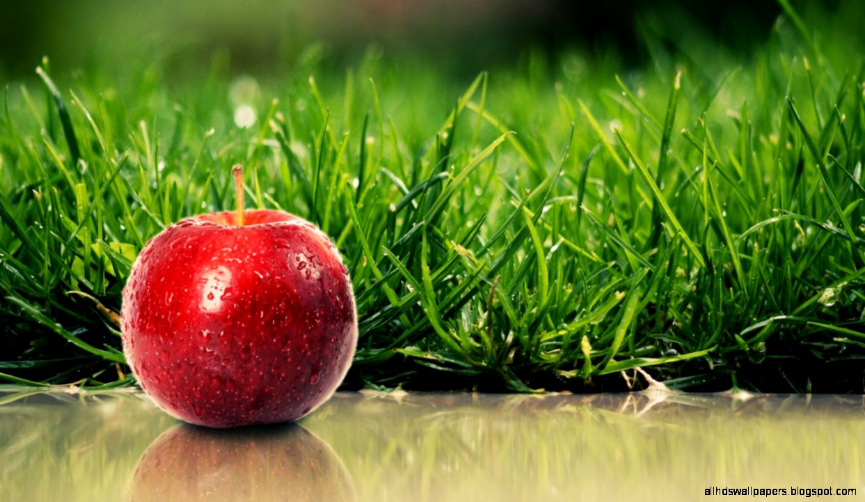 30 Most Breathtaking Fresh Fruit Wallpapers  Stylonica