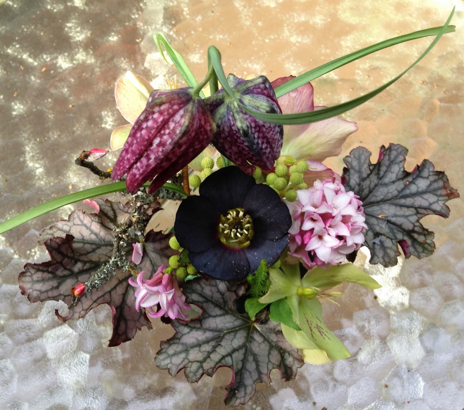 A Next Generation Gardener Winter Hellebores as cut flowers and how to