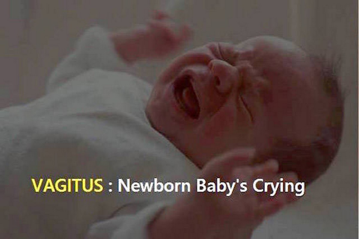 Chuck's Fun Page 2 My bologna has a first name and these things have