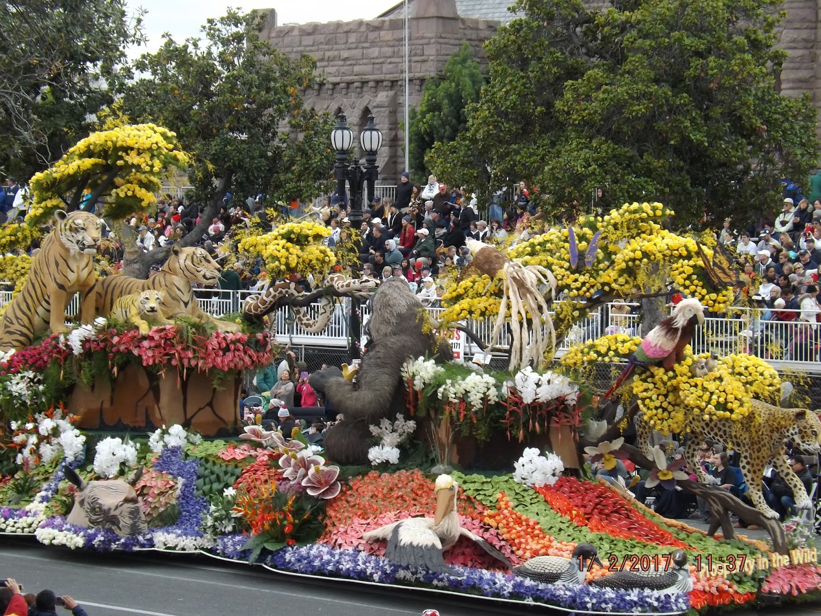 Up to Speed Rose Bowl Parade 2017 Floats
