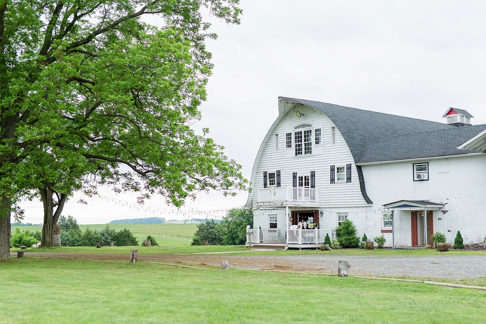 Romantic Spring Wedding at Brandy Hill Farm Culpeper, VA Michelle