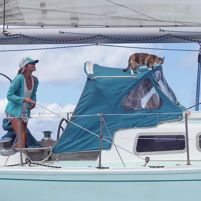 The Woman Is Sailing Around the World With Her Cat