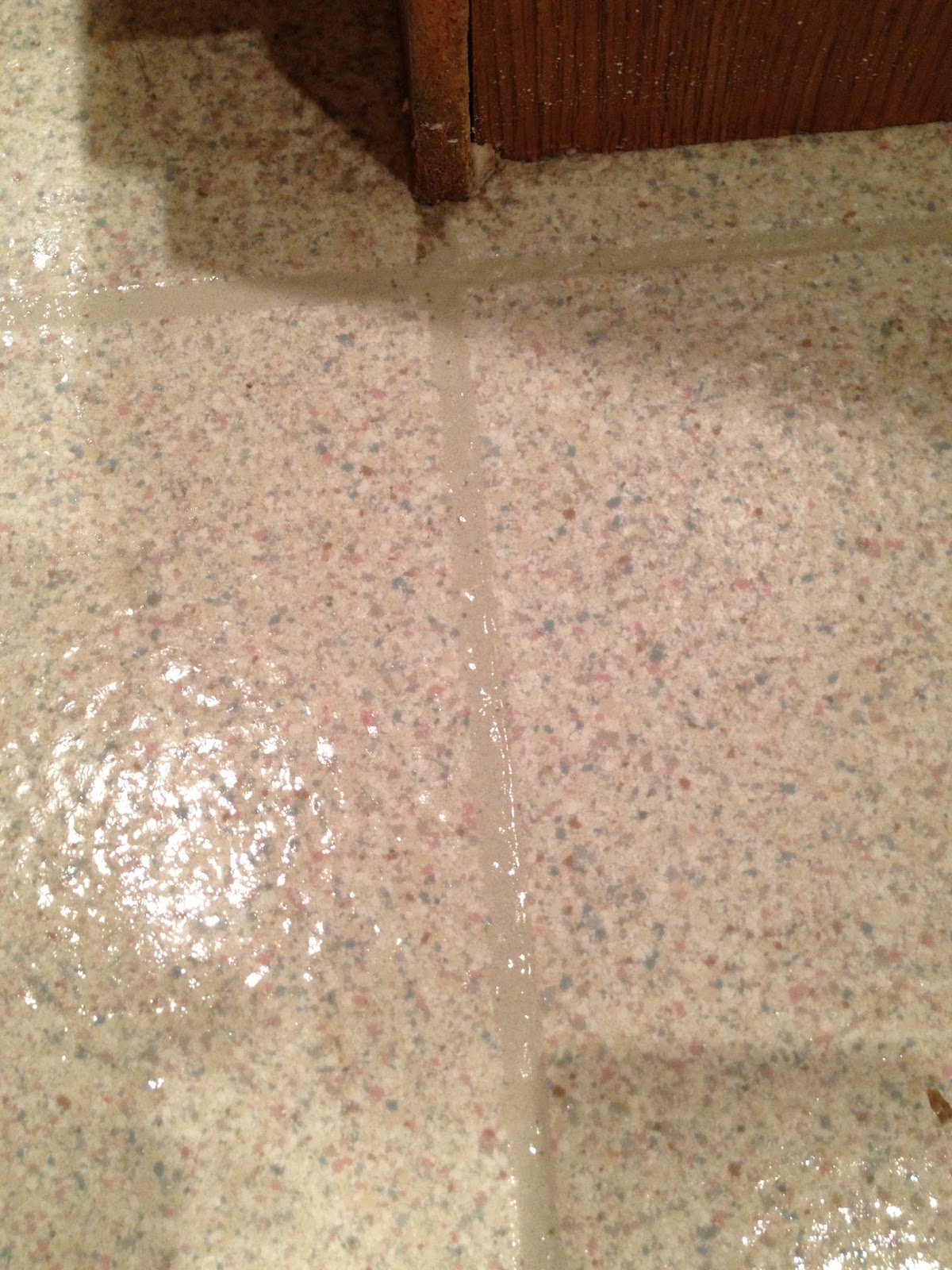The DIY Guinea Pig: Deep Clean Your Linoleum