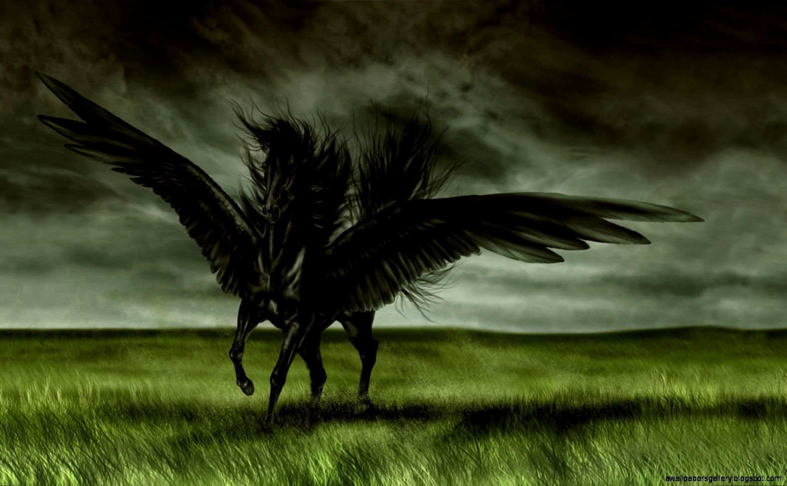 Black Pegasus Wallpaper Hd