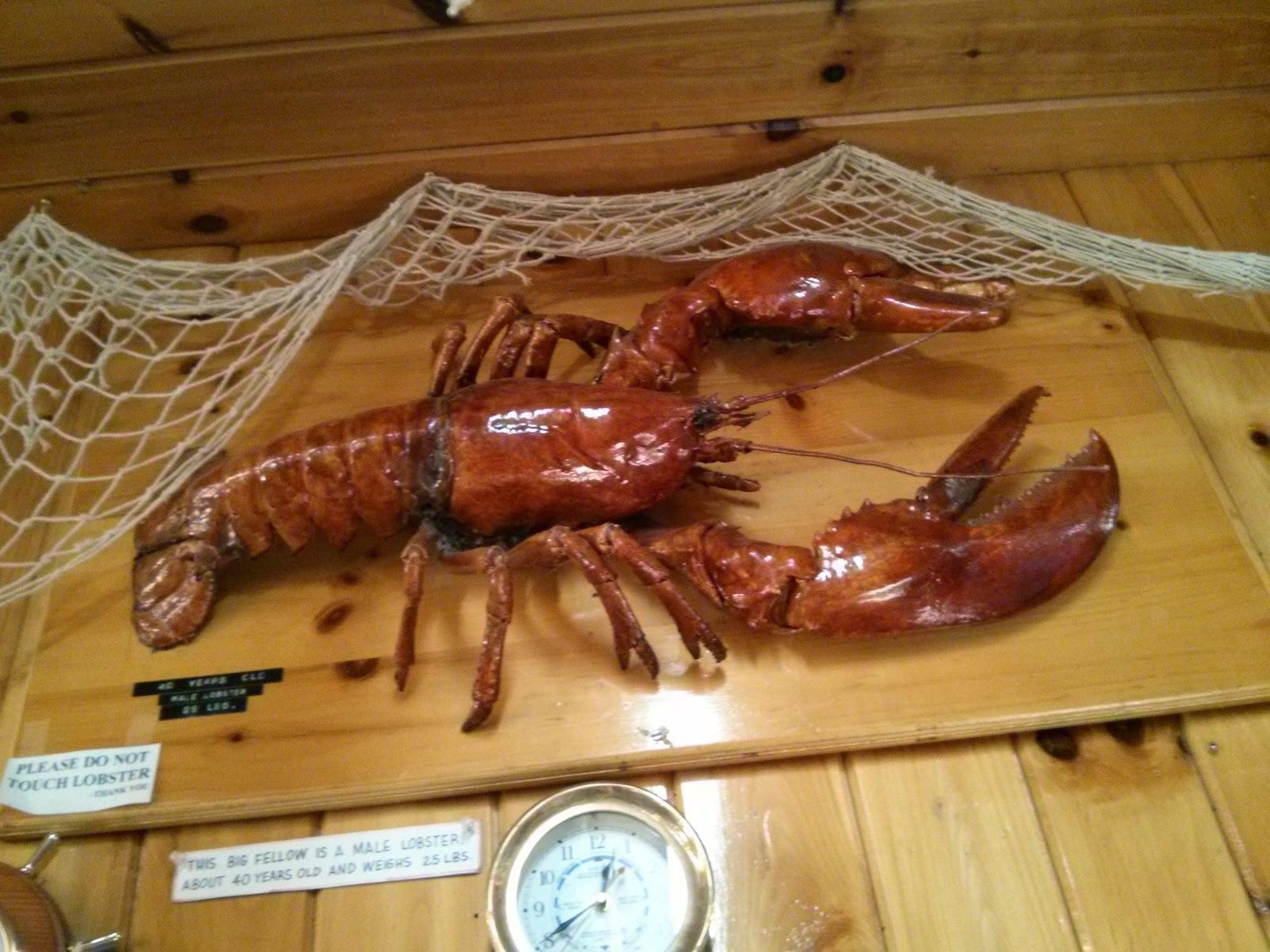 Eating Lobster Fisherman's Wharf Lobster Suppers (Prince Edward Island) Eating With Gordon