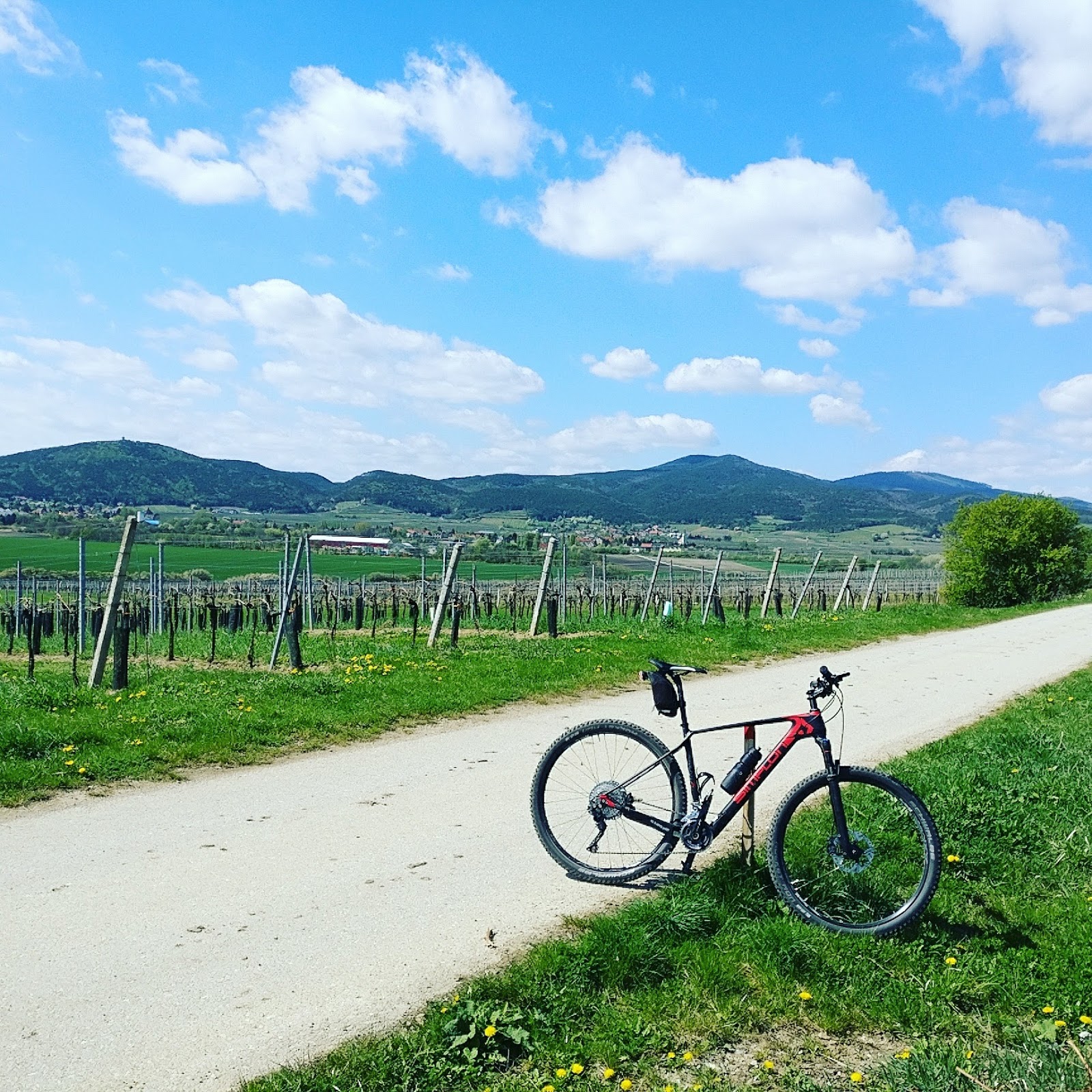 Dieter's Radtouren: 9.4.17 - Wien