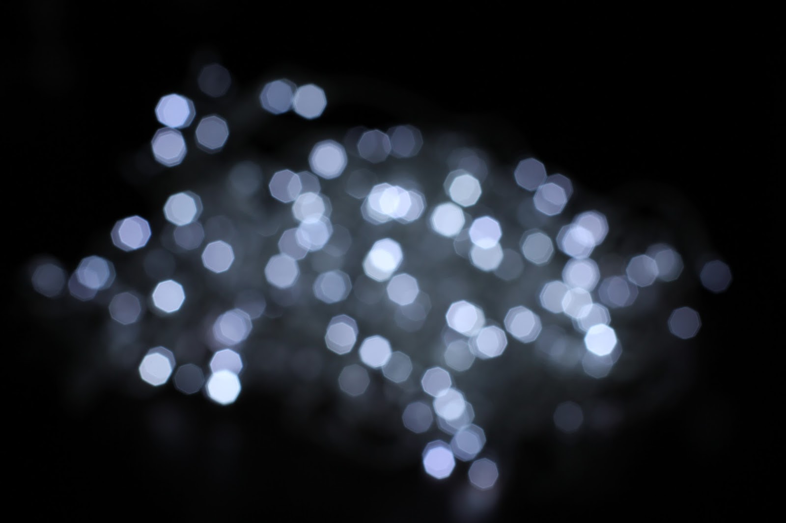 Foto a Fuoco Come si Fotografa... con effetto Bokeh???