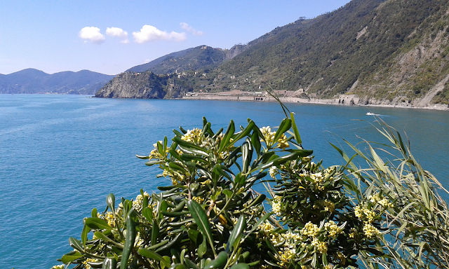 cinque terre coast