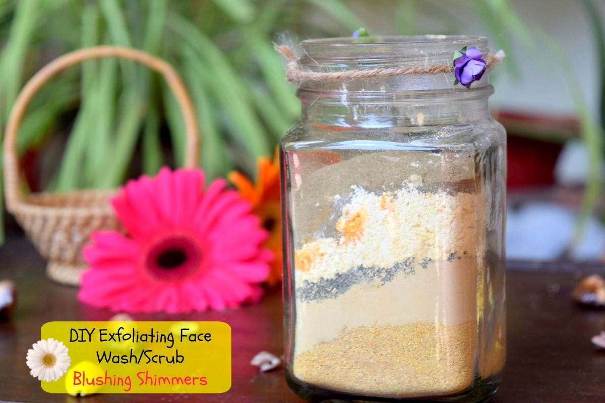 Blushing Shimmers DIY Exfoliating Face Wash/Scrub