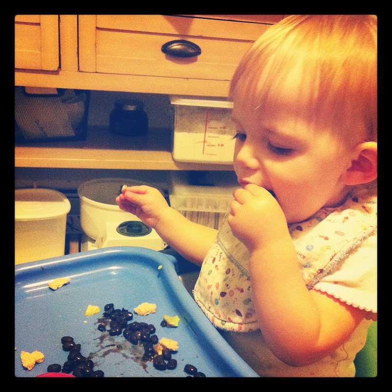 Safely Gathered In Food Storage Friday Garlic Black Beans