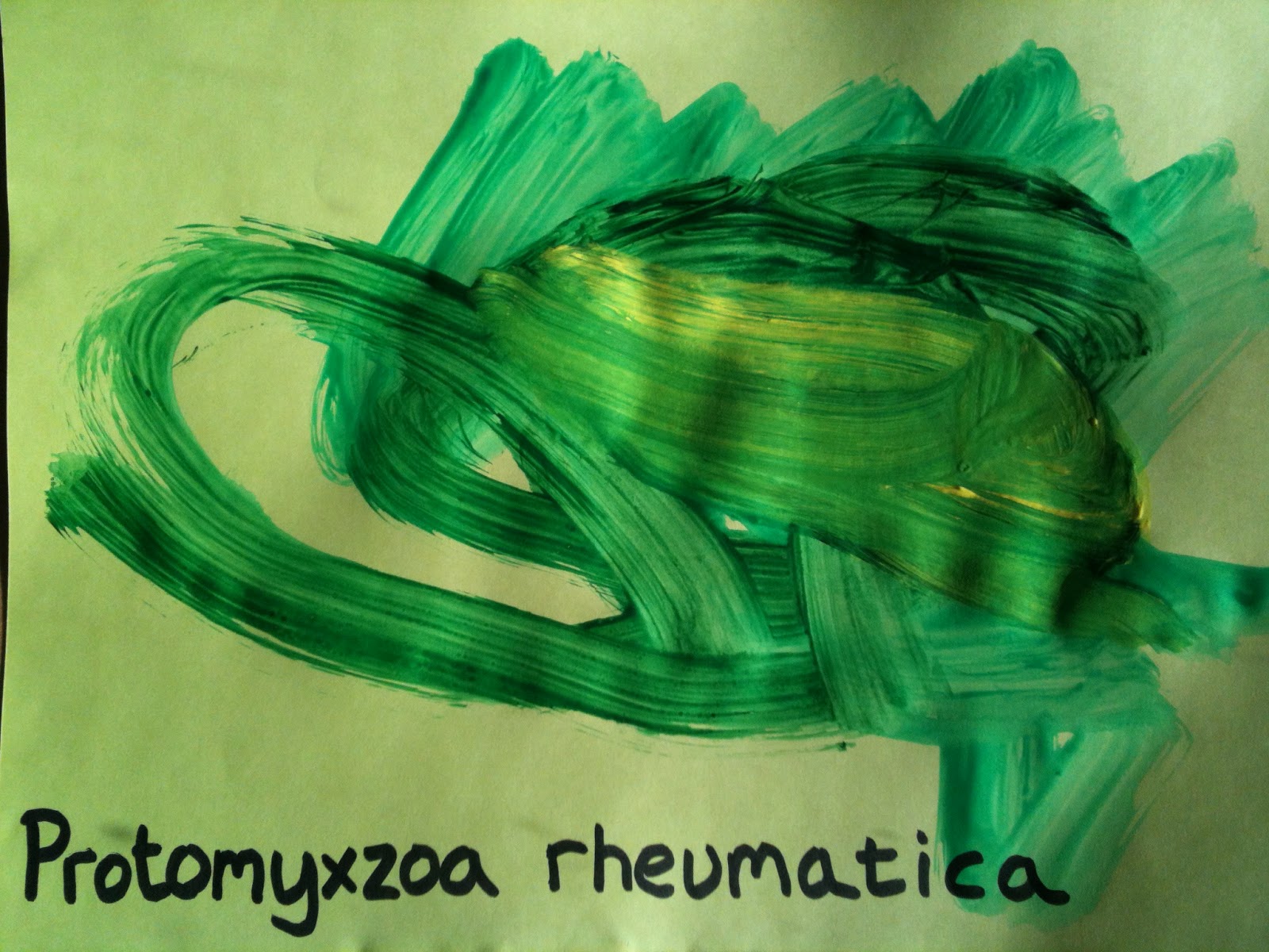 Lyme Disease Scotland - get info, get treated, get better.: Protomyxzoa ...