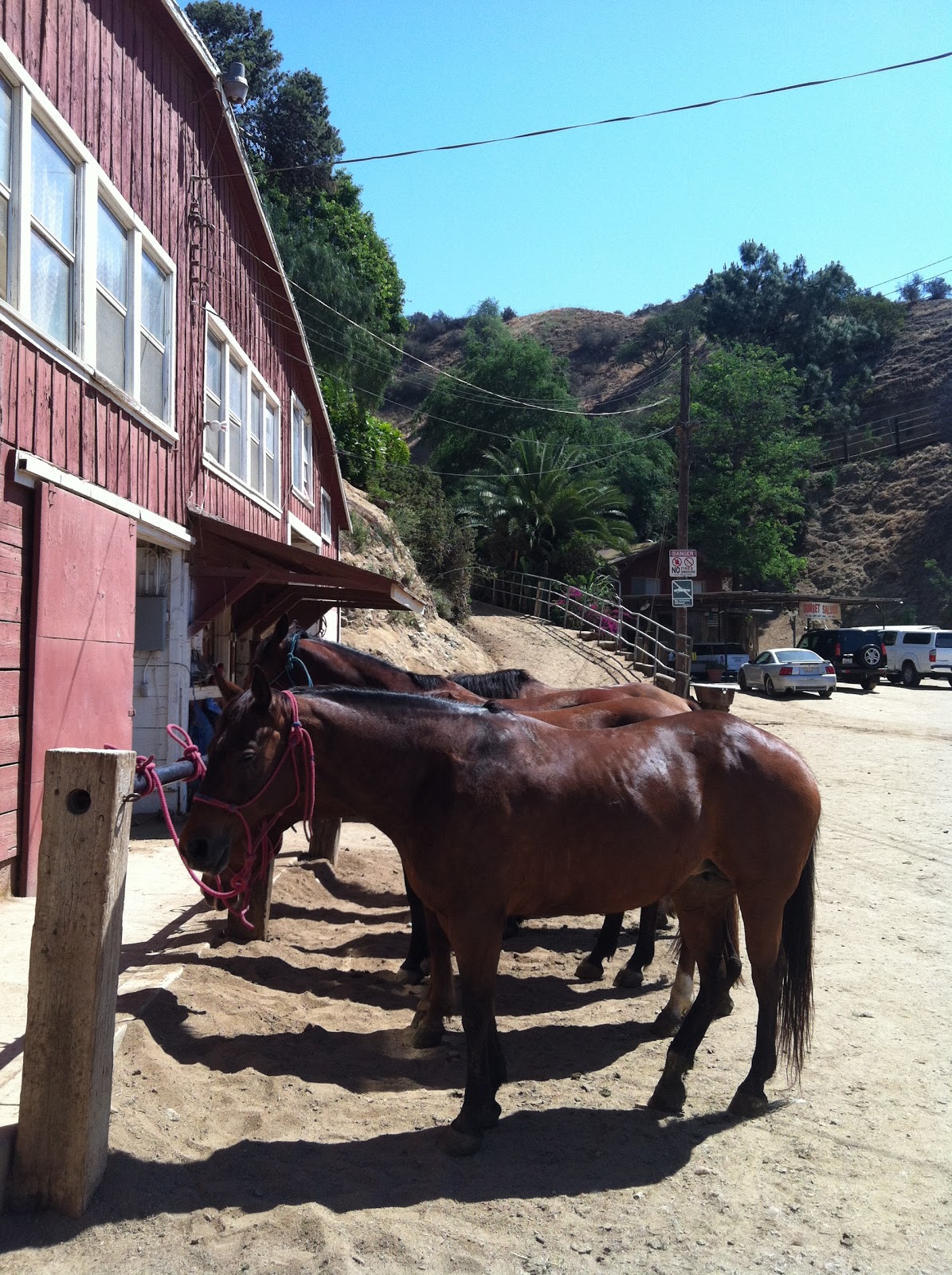 Travelbynic Sunset Ranch / Horseback riding
