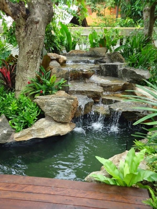 A relaxing garden and backyard waterfalls