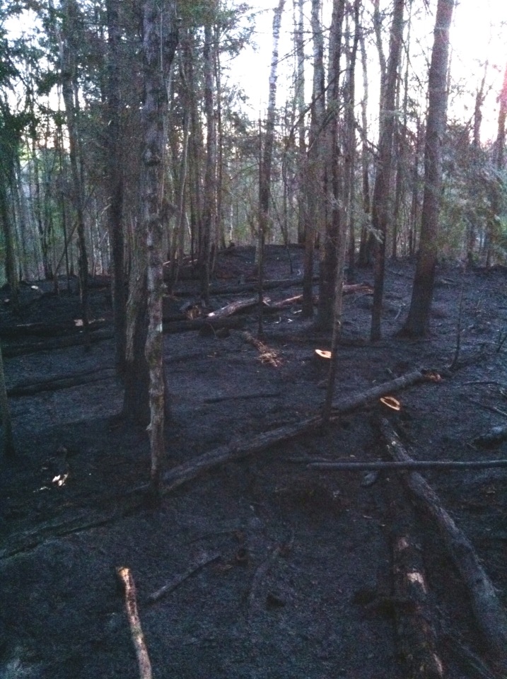Urgence911 BeaulacGarthby Feu de forêt chemin Murphy