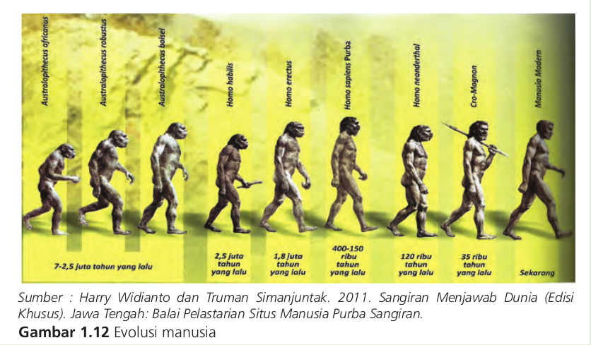 Mengapa hasil penelitian Dubois di Trinil disebut sebagai jenis