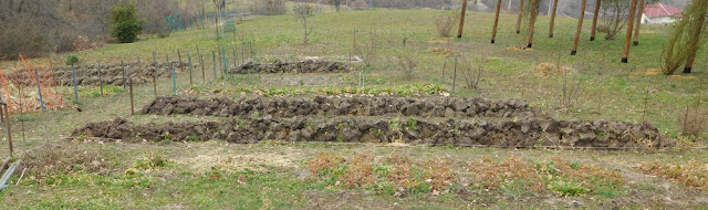 ORTICA ORTO ROSE SAVIGNO VALSAMOGGIA BOLOGNA