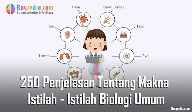 250 Penjelasan Tentang Makna dan Istilah - Istilah Biologi Umum