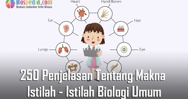 Lengkap 250 Penjelasan Tentang Biologi Makna Dan Istilah Istilah Biologi Umum Bospedia