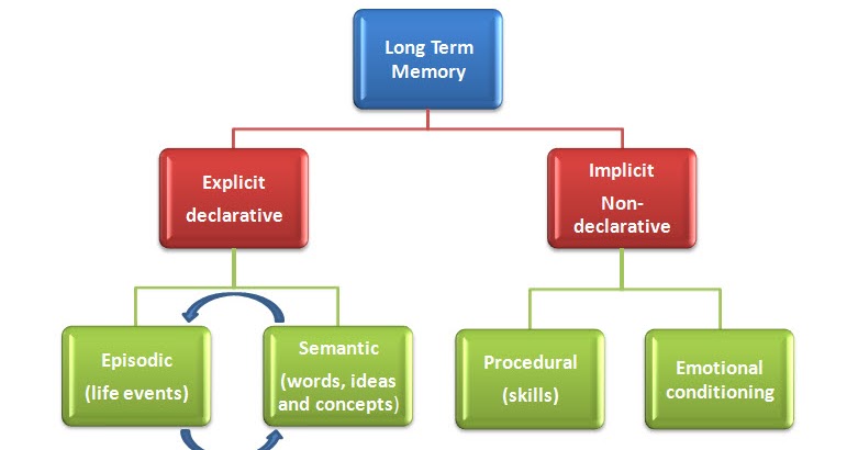 Pearl Education: Long Term Memory (LMG)