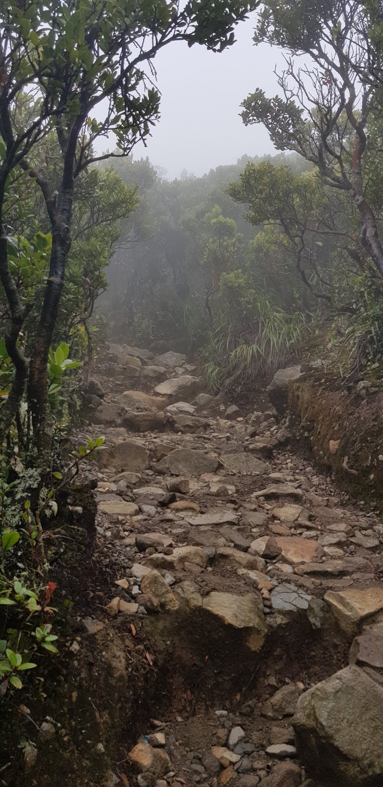 Sevilla�s Area: Ada Apa di Puncak Gunung Gede?!