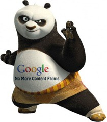Google Panda Update Dalam Beberapa Minggu Kedepan