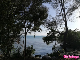 Hunting Photo Pantai Tanjung Setumu Hingga Citywalk Kijang Hunting Photo Pantai Tanjung Setumu Hingga Citywalk Kijang