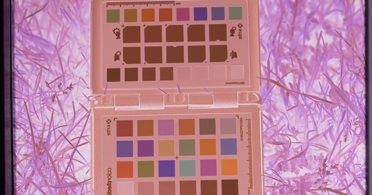 Matt's Photography Tips Color Negative Film Processing Using