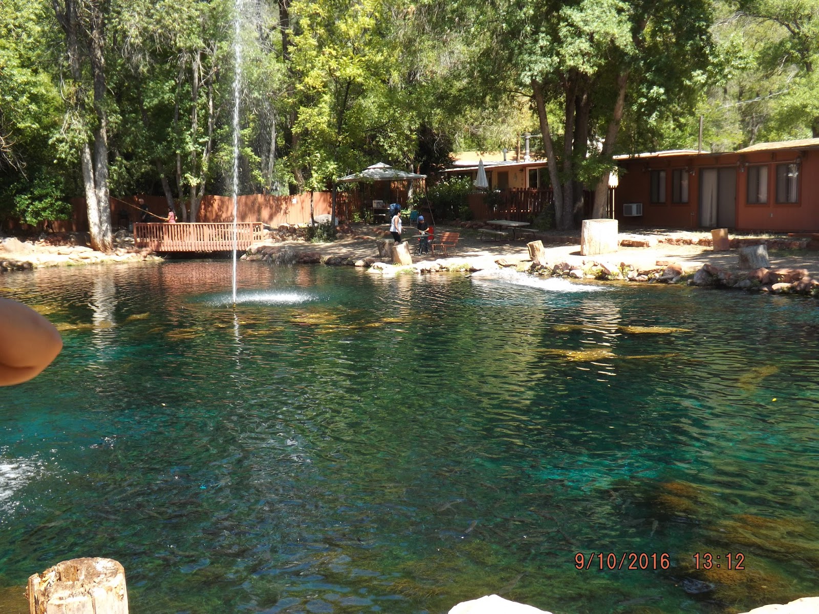 Up to Speed Camping in Oak Creek Canyon