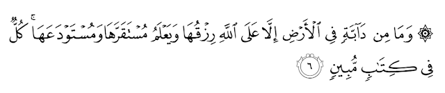 Bacaan Artinya Kosakata Serta Kandungan Hud 6 Blog Copas 1