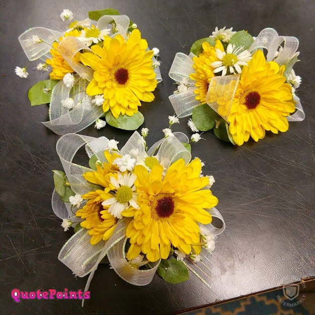 Good Morning Flower Images Free Download Good Morning Flower Images Free Download