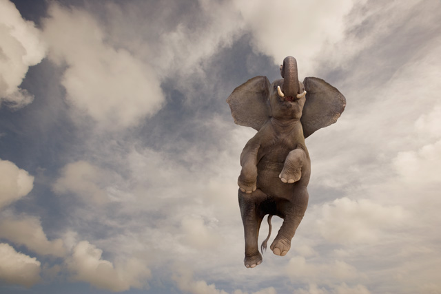 Blog Freedom TEKATEKI =D