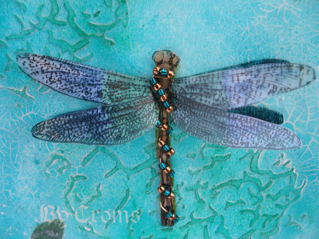 Croms' Cubby Hole Creepers and Crawlers