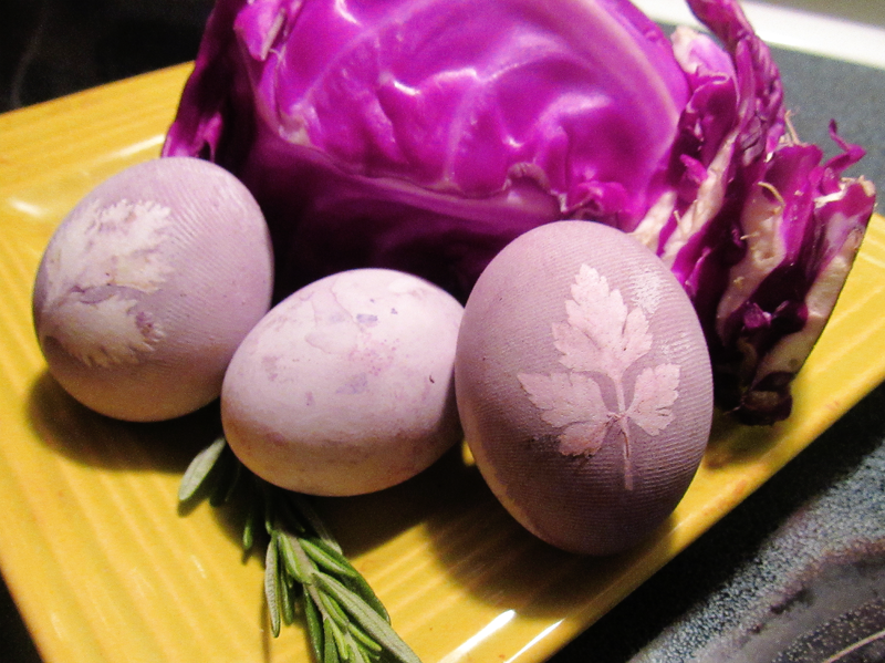 Needle Thyme Eco Egg Dyeing The Beet Will Never Let You Down