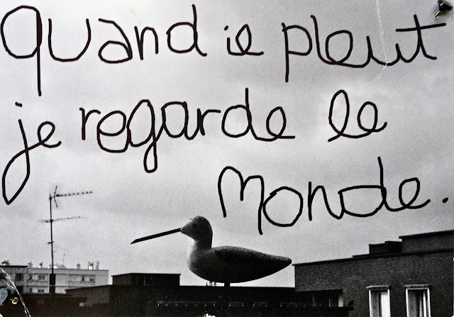 papyLLon en saiNtoNge Quand il pleut…