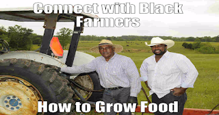 http://supportblackfarmers.blogspot.com/2016/04/farmer-john-boyd-jr-wants-african.html