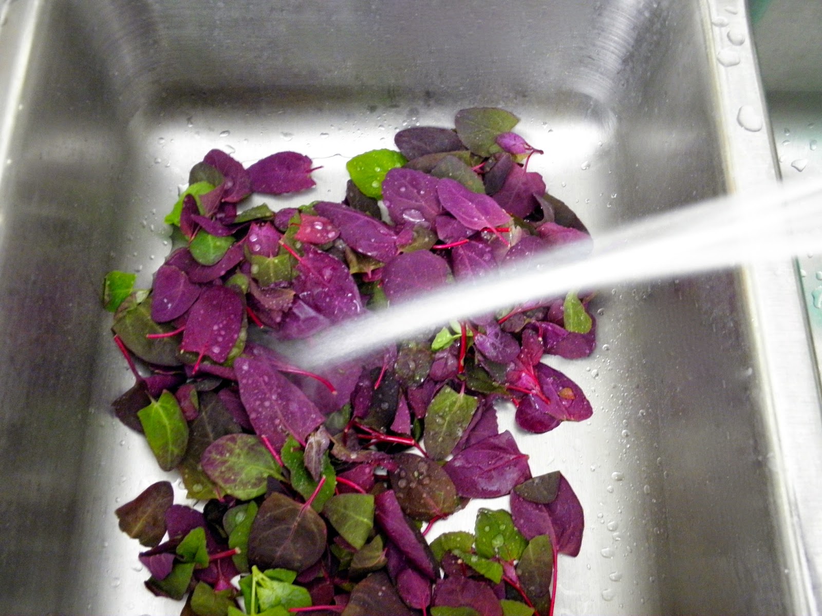 Delicious Red Spinach