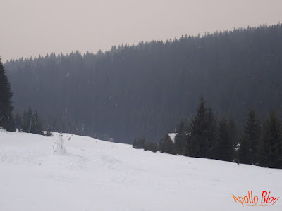 Om de zapada pe partia de schi