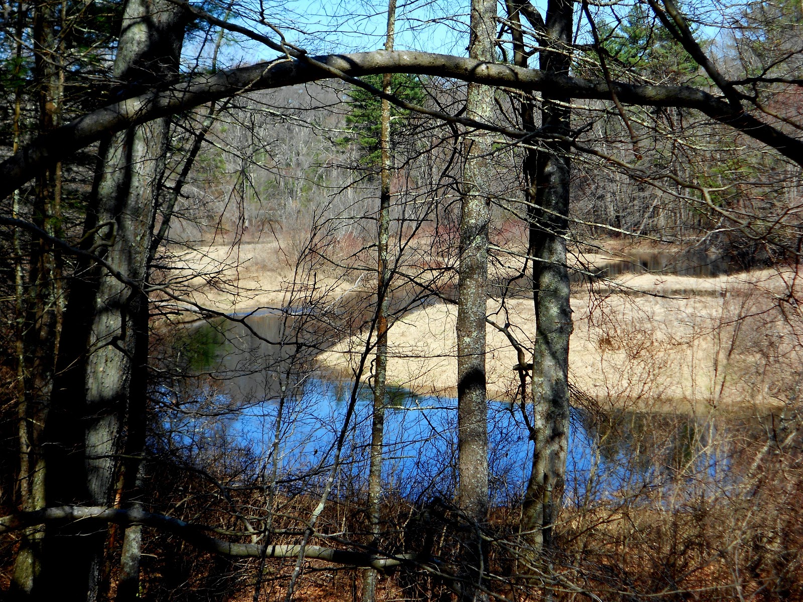 Breakheart Trail Running Bay Circuit Trail Hike Report Reynolds