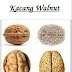 14 Manfaat Kacang Walnut dan Makanan Terbaik Untuk Otak