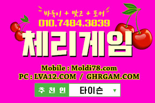 원탁의신게임,체리모바일,원탁게임,엠엘비게임,오라클게임,체리게임,초코볼게임,바둑이게임 원탁의신게임,체리모바일,원탁게임,엠엘비게임,오라클게임,체리게임,초코볼게임,바둑이게임