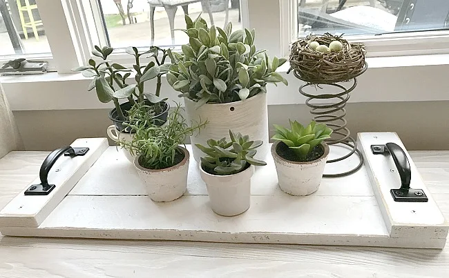 Farmhouse tray with windowsill garden